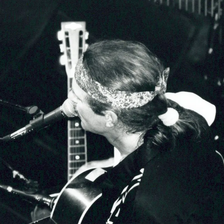 Hans Theessink & Blue Groove