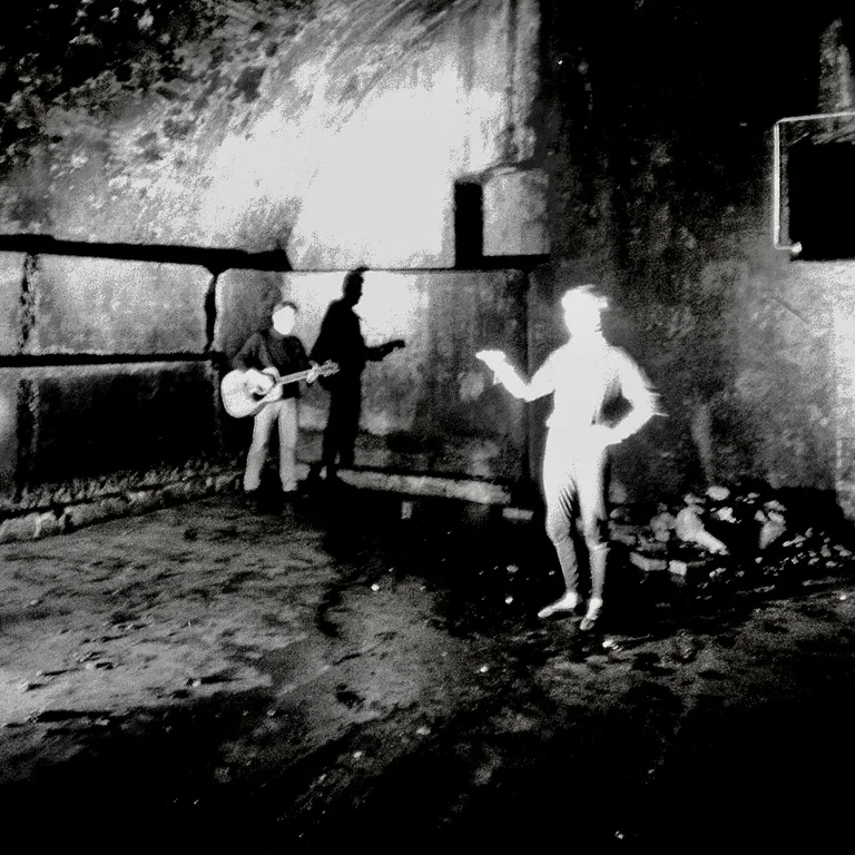 Die Housewurzeln