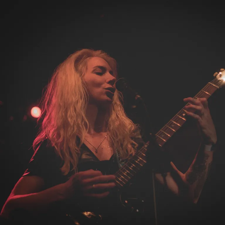 Hamburg Blues Band + Vanja Sky